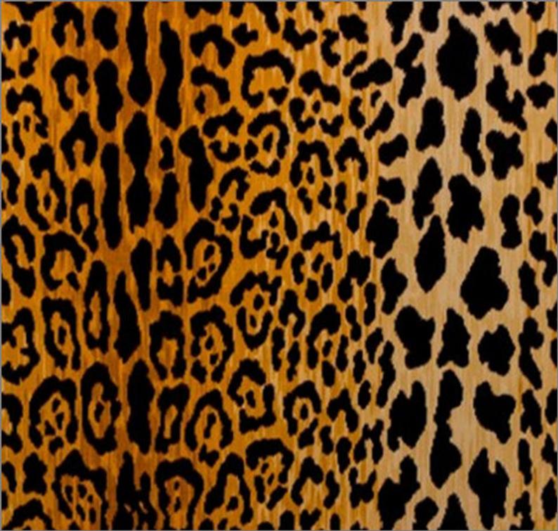 Jamil Leopard Velvet Pillow Cover – Evia Mae & Alex Pillows